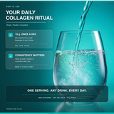 Bovine Collagen Peptides Peptan®