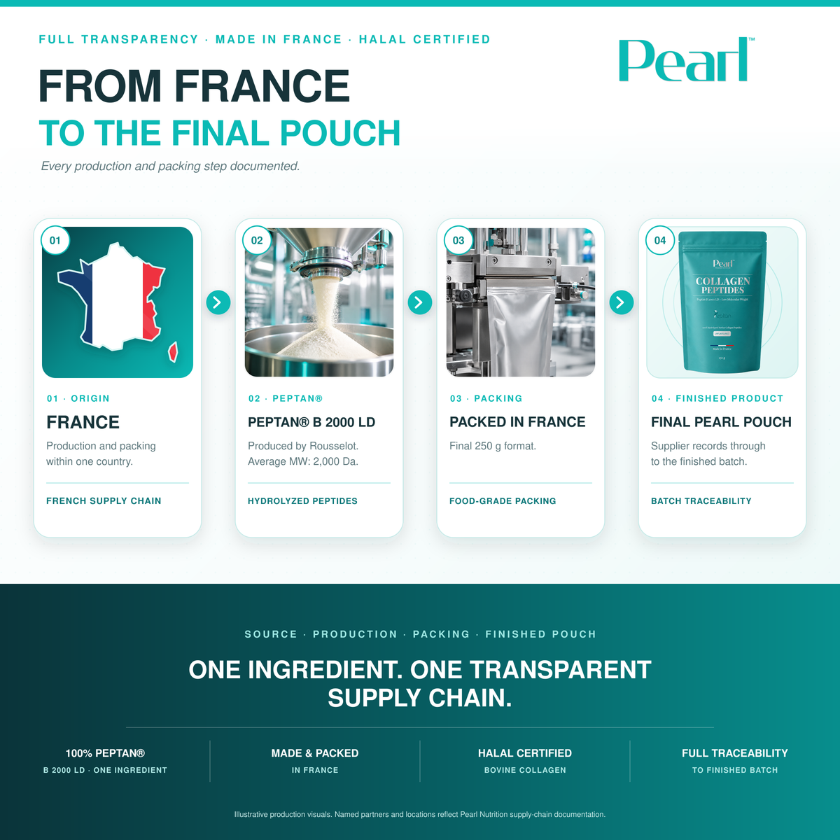 Bovine Collagen Peptides Peptan®